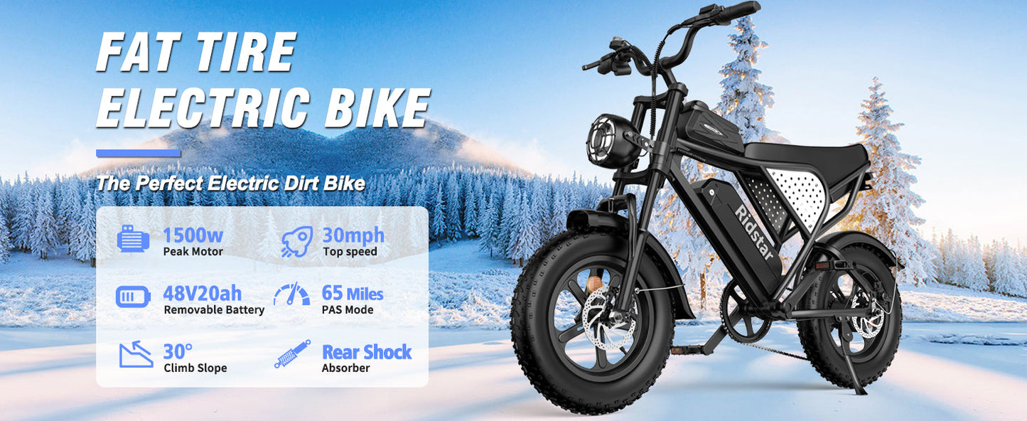 Ridstar Q16 1000W Fat Tire Electric Bicycle