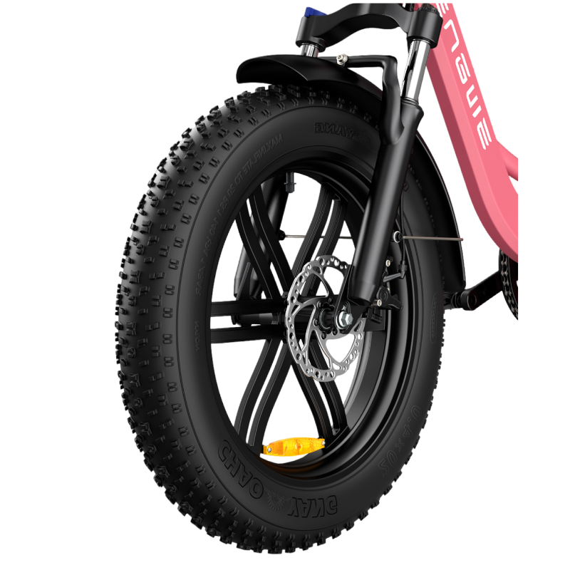 Engwe L20 250W 20" Fat Bike 624Wh Step-through Electric Bike 48V 13Ah E-Bike Step Through Bike