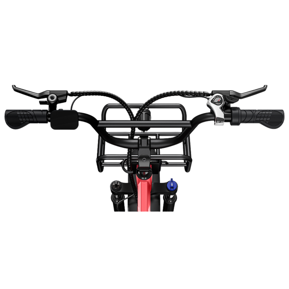 Engwe L20 250W 20" Fat Bike 624Wh Step-through Electric Bike 48V 13Ah E-Bike Step Through Bike