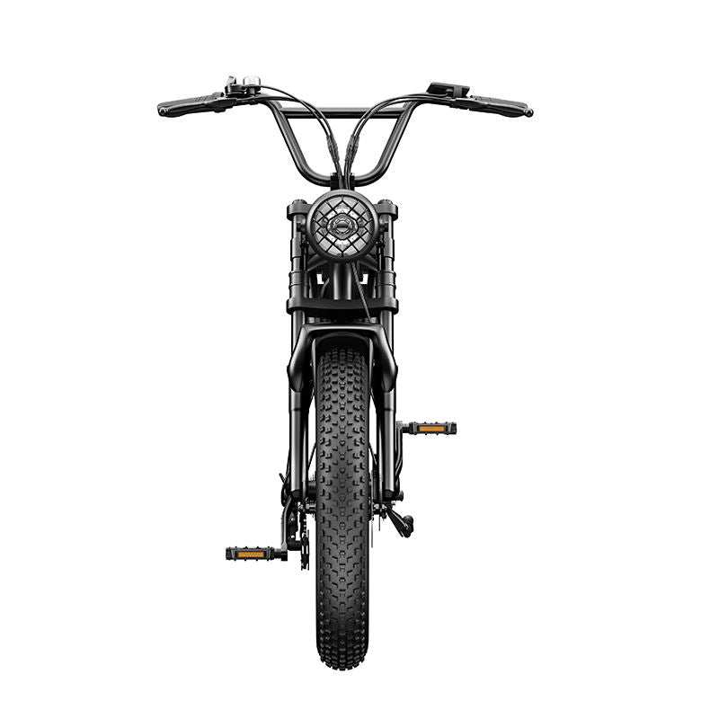 EMOKO C91 1000W 20" Electric Fat Tire Bike 48V 17.5Ah Battery 55KM/H