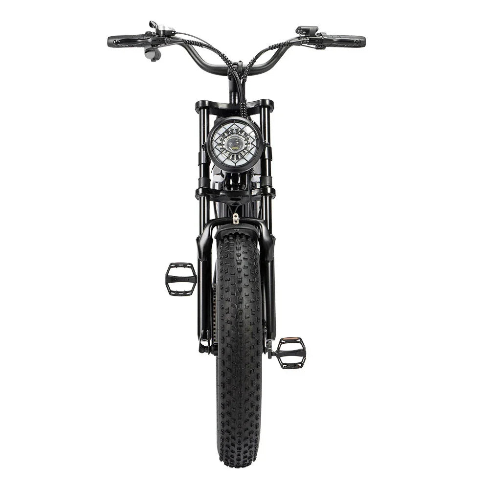 RIDSTAR Q20 Lite 20" Fat Tires Electric Bike 1000W Motor 48V 15Ah Battery