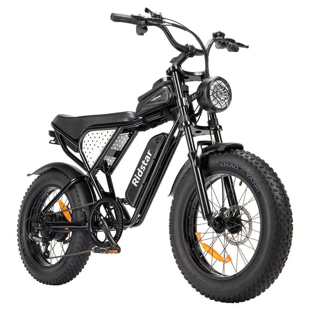 RIDSTAR Q20 Lite 20" Fat Tires Electric Bike 1000W Motor 48V 15Ah Battery