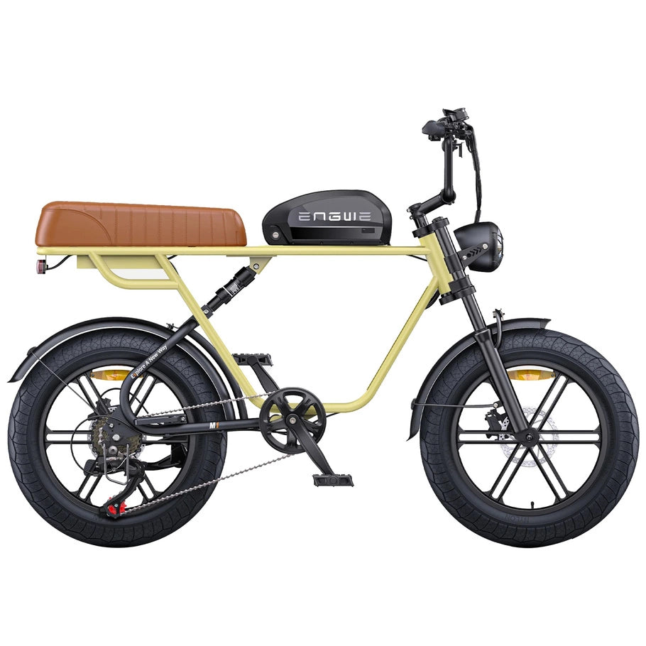 ENGWE M1 750W 20" Fat Bike E-Mountain Bike 48V 15.6+13Ah Battery 45KM/H