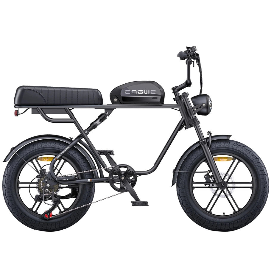 ENGWE M1 750W 20" Fat Bike E-Mountain Bike 48V 15.6+13Ah Battery 45KM/H