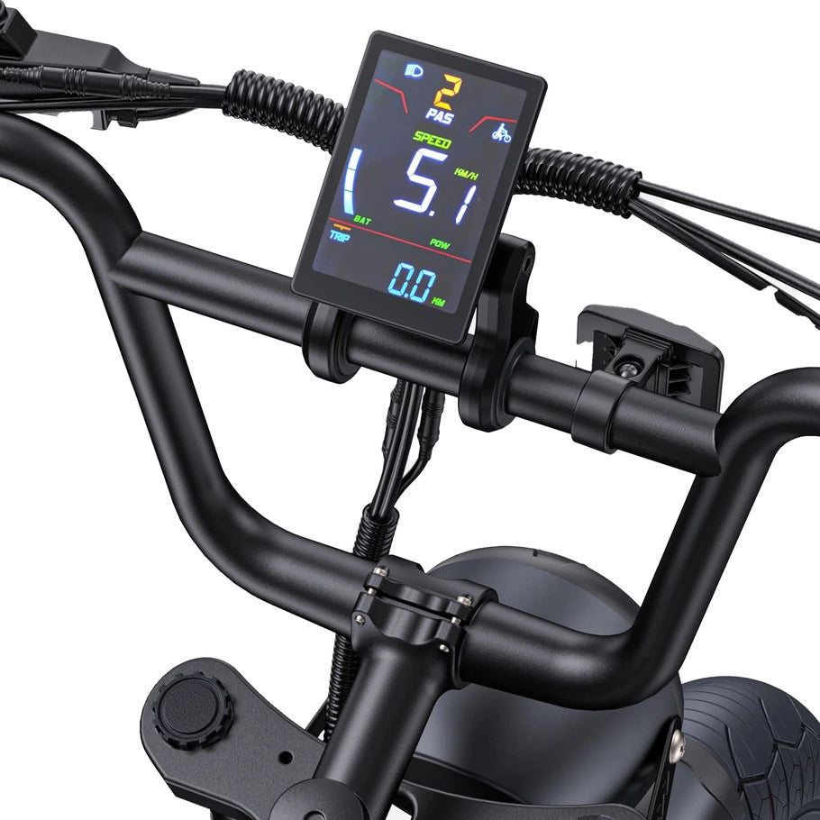 ENGWE M1 750W 20" Fat Bike E-Mountain Bike 48V 15.6+13Ah Battery 45KM/H