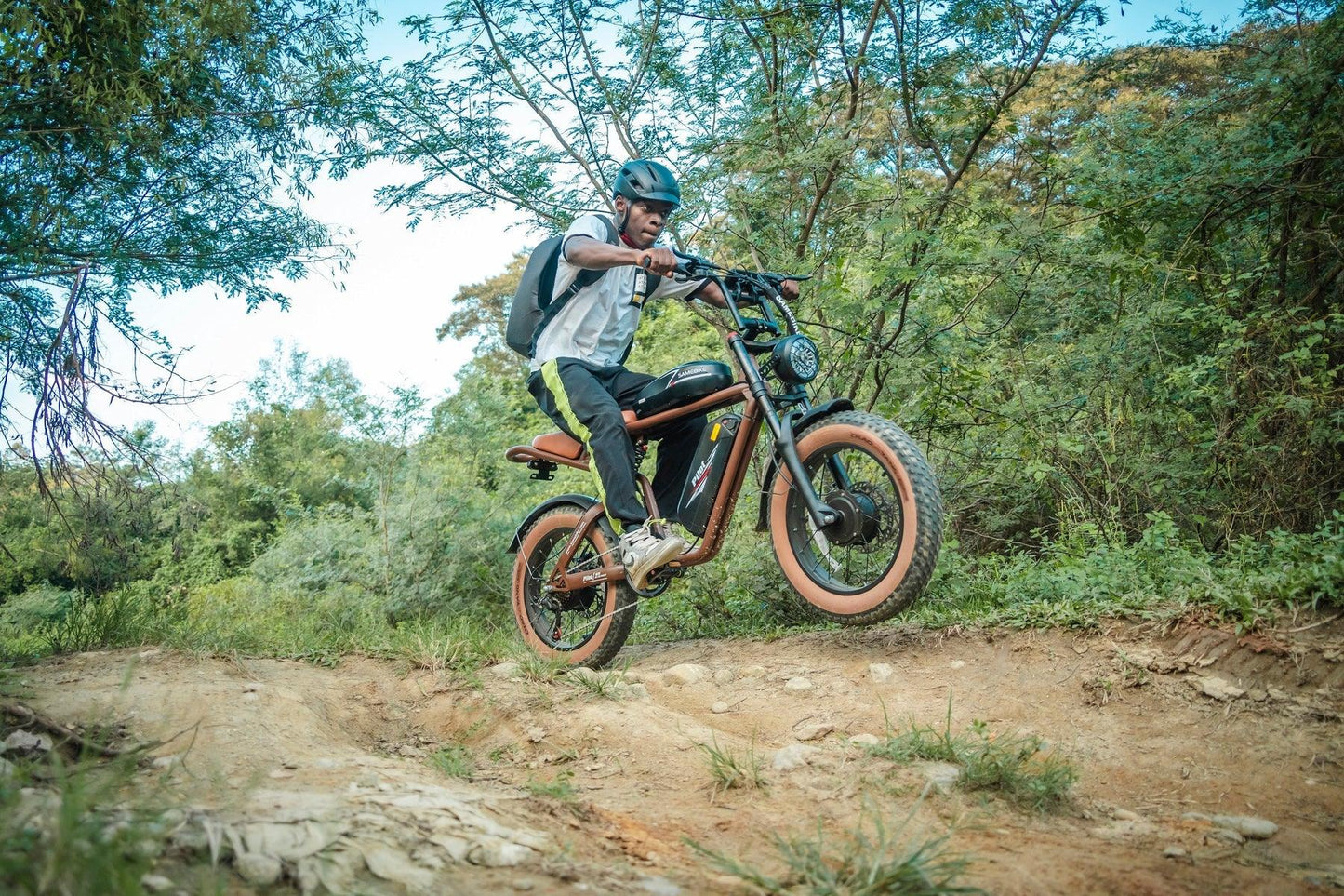 SAMEBIKE M20-III 20-Inch 2000W Fat Tire Electric Bike, 48V 32AH, Hydraulic Brakes