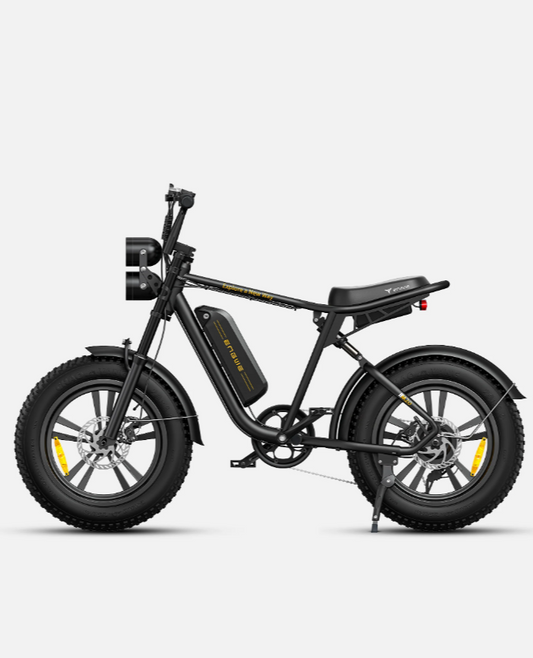 ENGWE M20 750W 20" Fat Bike E-Mountain Bike 48V 13Ah Battery 45KM/H