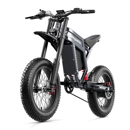 SHENGMILO S900 20" All-Terrain Electric Bike 1500W Motor 60V 30Ah Battery