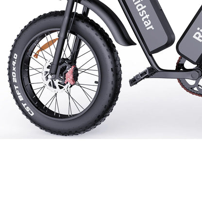 Ridstar Q20 Pro - 2000W Dual Motor E-Bike, 52V 40AH Battery, 20" Fat Tires, Dual Suspension