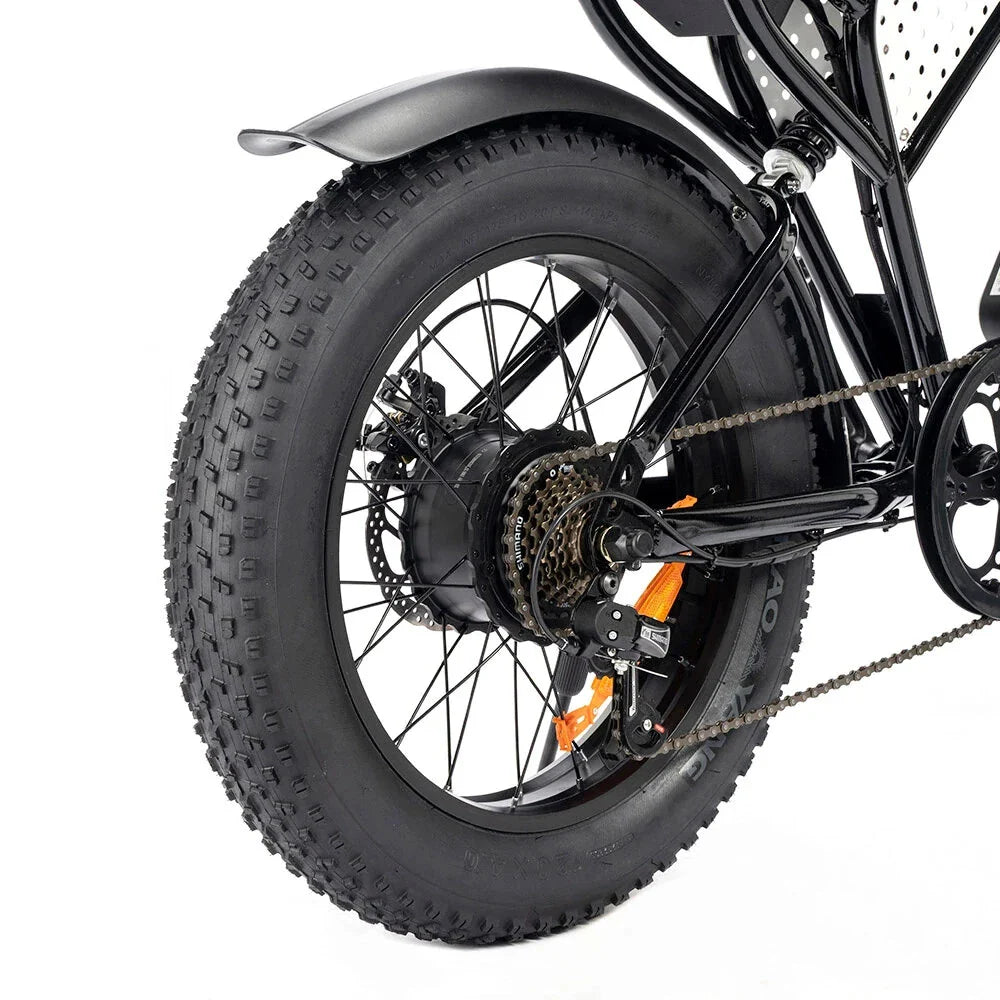 RIDSTAR Q20 Lite 20" Fat Tires Electric Bike 1000W Motor 48V 15Ah Battery