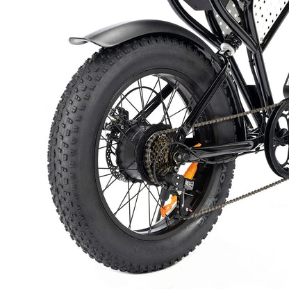 RIDSTAR Q20 Lite 20" Fat Tires Electric Bike 1000W Motor 48V 15Ah Battery
