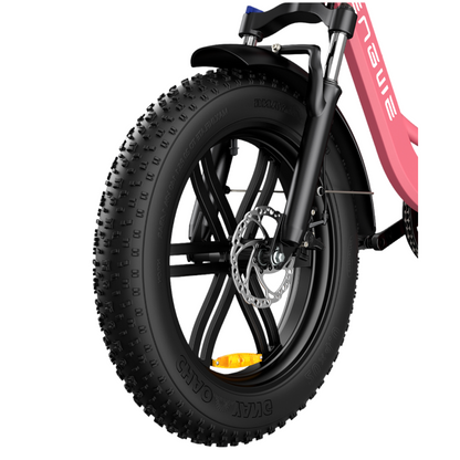 Engwe L20 250W 20" Fat Bike 624Wh Step-through Electric Bike 48V 13Ah E-Bike Step Through Bike