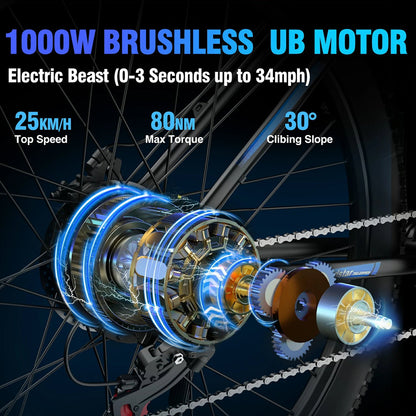 RIDSTAR S29 Pro 29" Electric Mountain Bike 1000W Motor 48V 21Ah Battery