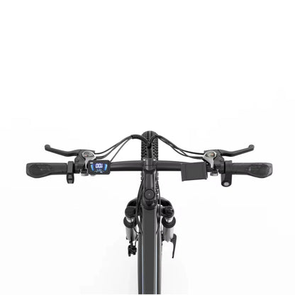 RIDSTAR S29 Pro 29" Electric Mountain Bike 1000W Motor 48V 21Ah Battery