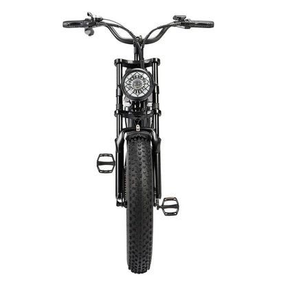 RIDSTAR Q20 Lite 20" Fat Tires Electric Bike 1000W Motor 48V 15Ah Battery