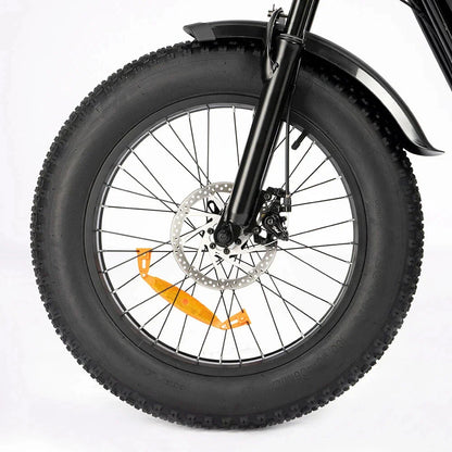 RIDSTAR Q20 Lite 20" Fat Tires Electric Bike 1000W Motor 48V 15Ah Battery