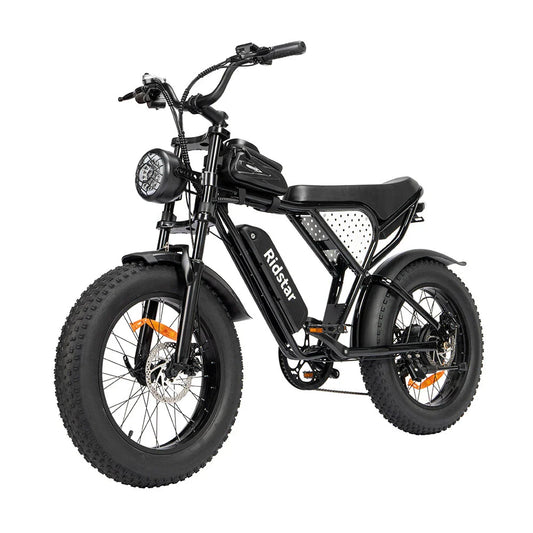 RIDSTAR Q20 Lite 20" Fat Tires Electric Bike 1000W Motor 48V 15Ah Battery