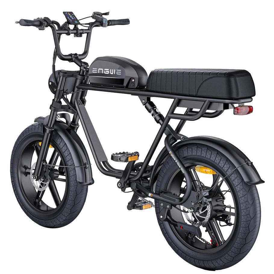 ENGWE M1 750W 20" Fat Bike E-Mountain Bike 48V 15.6+13Ah Battery 45KM/H