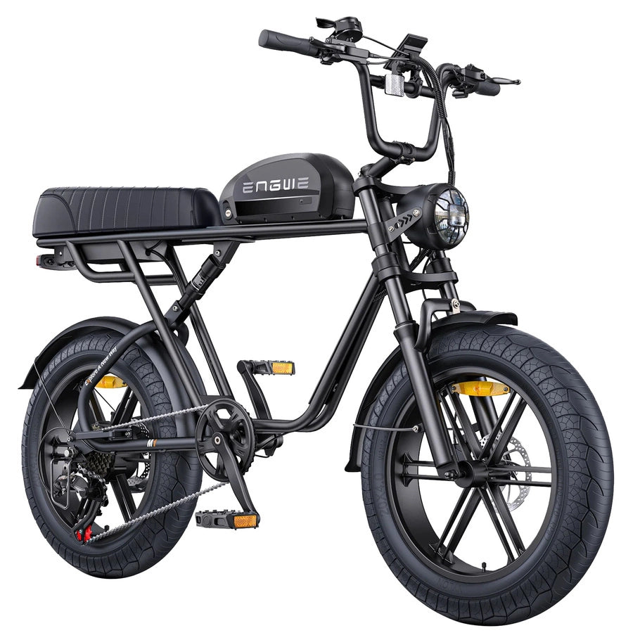 ENGWE M1 750W 20" Fat Bike E-Mountain Bike 48V 15.6+13Ah Battery 45KM/H