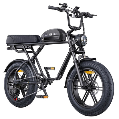 ENGWE M1 750W 20" Fat Bike E-Mountain Bike 48V 15.6+13Ah Battery 45KM/H