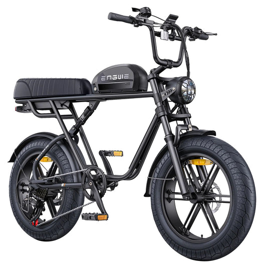 ENGWE M1 750W 20" Fat Bike E-Mountain Bike 48V 15.6+13Ah Battery 45KM/H