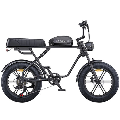 ENGWE M1 750W 20" Fat Bike E-Mountain Bike 48V 15.6+13Ah Battery 45KM/H