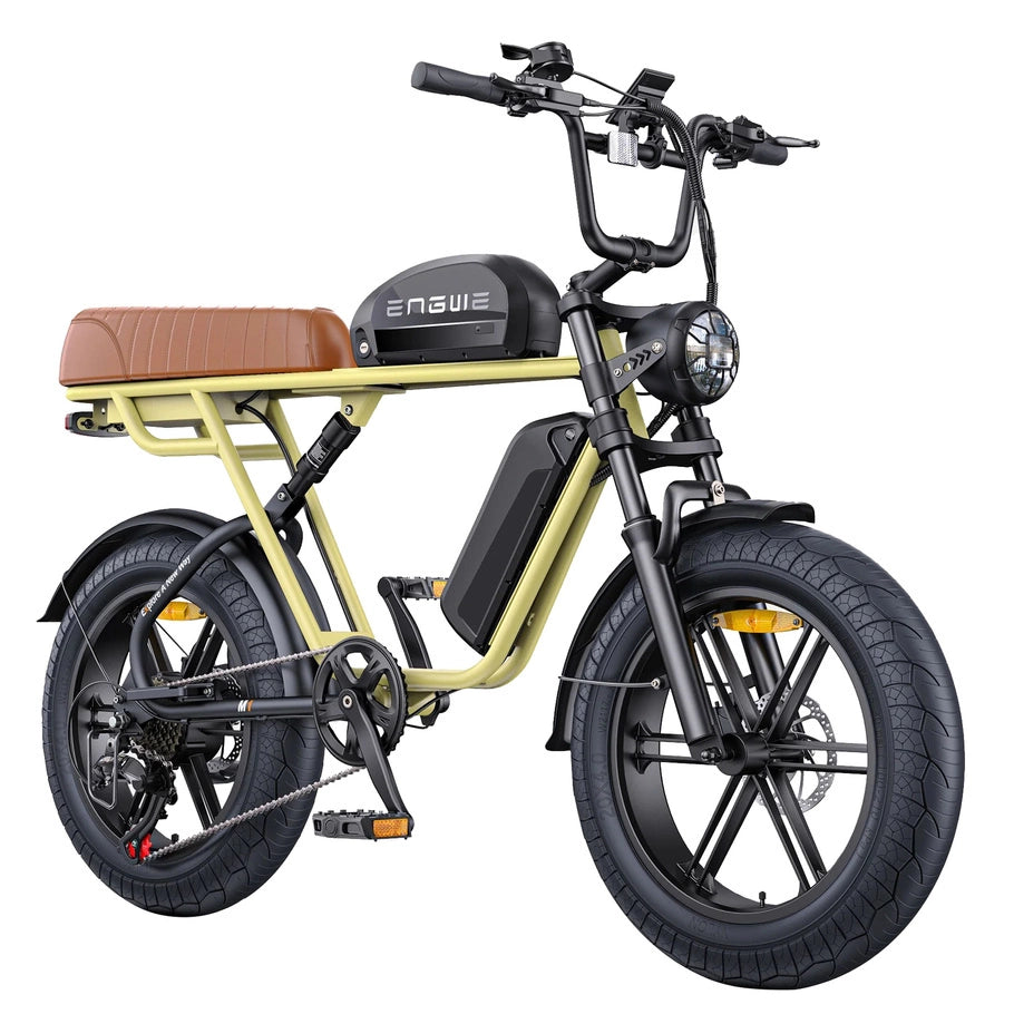 ENGWE M1 750W 20" Fat Bike E-Mountain Bike 48V 15.6+13Ah Battery 45KM/H