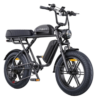 ENGWE M1 750W 20" Fat Bike E-Mountain Bike 48V 15.6+13Ah Battery 45KM/H