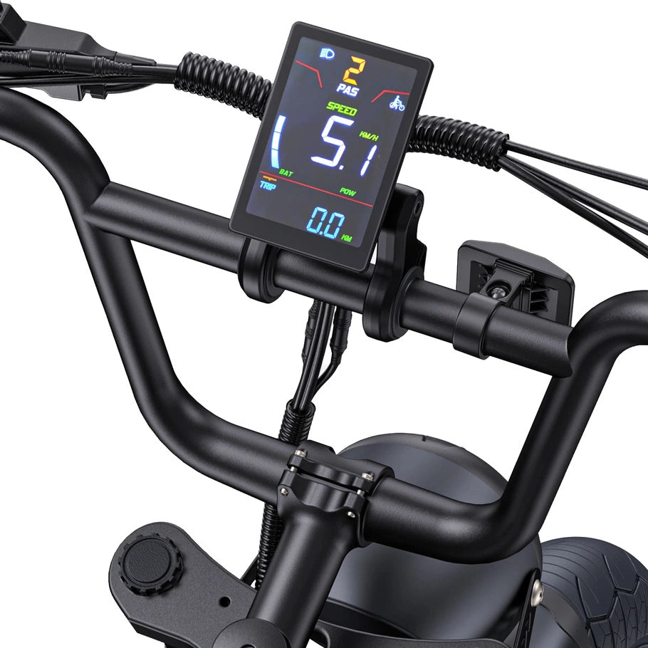 ENGWE M1 750W 20" Fat Bike E-Mountain Bike 48V 15.6+13Ah Battery 45KM/H