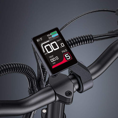 ENGWE LE20 250W 20" Step-Through Cargo E-Bike 48V 19.2Ah/38.4Ah Dual Battery 25KM/H